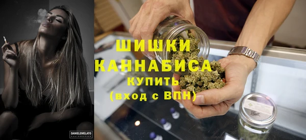a pvp Ельня