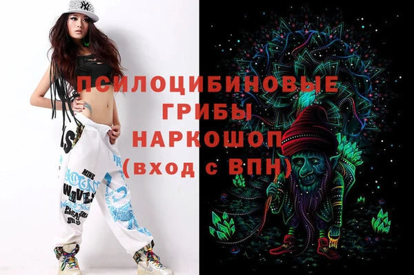 гашиш Дмитриев