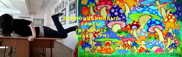 скорость mdpv Елизово