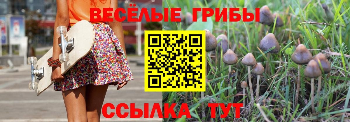 Псилоцибиновые грибы Magic Shrooms Великие Луки